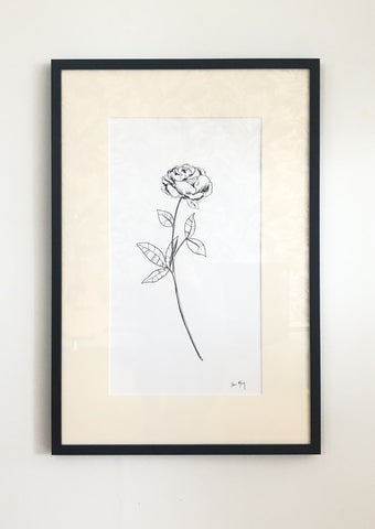 Peony - Framed Botanical Line Drawing