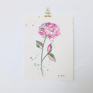 Pink Peony Botanical Watercolour Painting