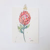 Protea Botanical Watercolour Painting