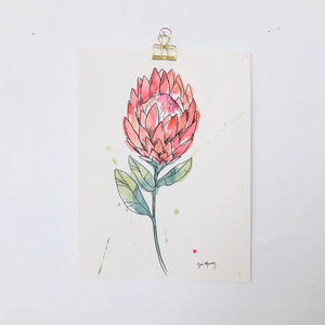 Protea Botanical Watercolour Painting